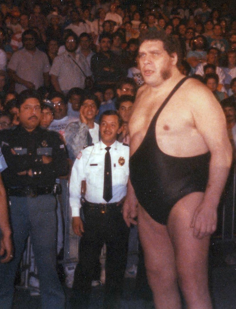 Andre the Giant (Wikimedia Commons / John McKeon)